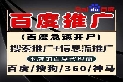 行业领先企业的SEM代运营成功之路